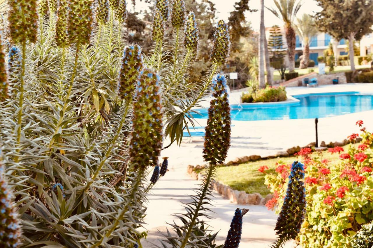 Paradise Gardens Mediterranean Home Paphos 外观 照片